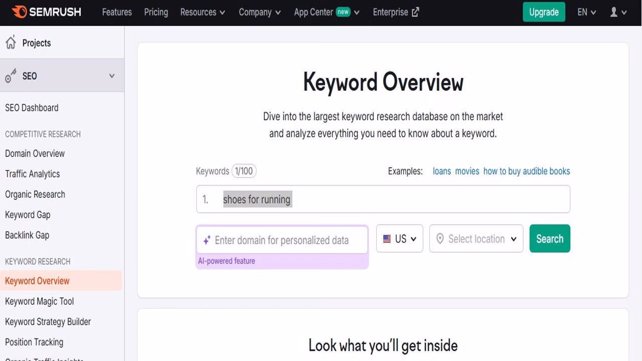 Get a keyword overview