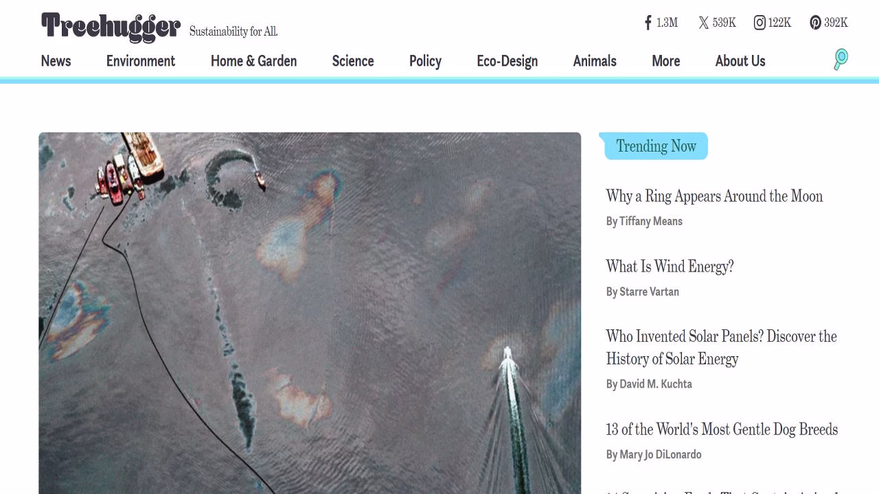 Screenshot or illustration of Tree Hugger blog focused on environmental awareness and sustainability