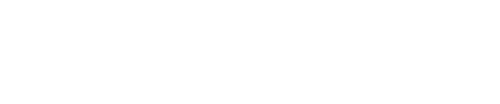 Webindia logo - web development and digital solutions company